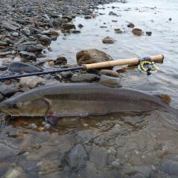 foto 26 - Mongolsko 2014 úžasné letní chytání ryb